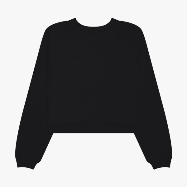 Women's Raglan Pullover Sponge Fleece Thumbnail